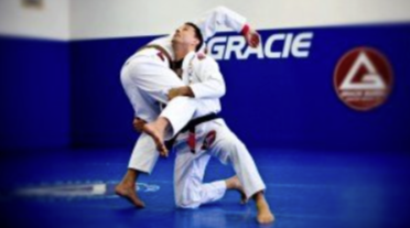 Felipe Guedes – The Most Important Techniques of Brazilian Jiu Jitsu