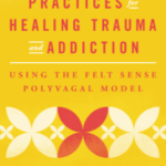 Jan Winhall – 20 Embodied Practices for Healing Trauma and Addiction
