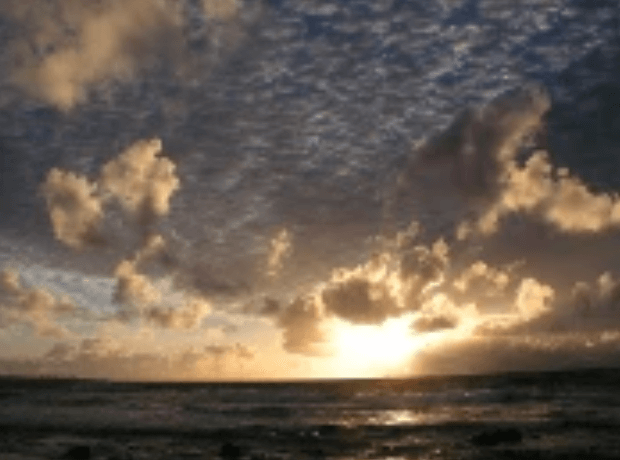Rande Howell – Developing Traders State of Mind Group Course – At Your Own Pace Version! (1)