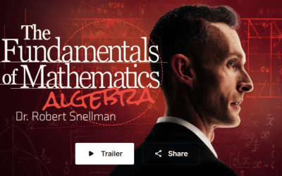 Peterson Academy – Robert Snellman – The Fundamentals of Mathematics – Algebra