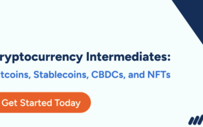 Andrew Loo – CFI Education – Cryptocurrency Intermediates-Altcoins, Stablecoins, CBDCs and NFTs