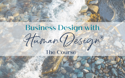 Jamie Palmer – Business Design With Human Design Course