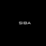 Salif Sibane – Siba Ecom Mastermind (9-Figure Ecom Creatives & Funnels Mastermind)