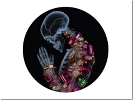 Sam9y - Goya Private Class 2025