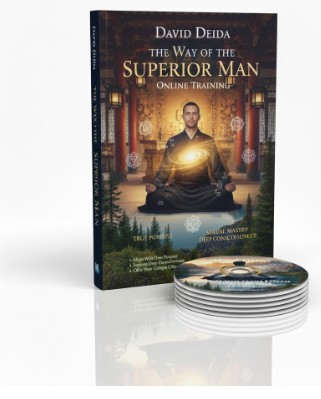 David Deida - Superior Man Online Program