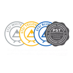 Systems Thinking Standards Institute – Blue Belt-PST