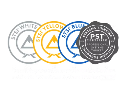 Systems Thinking Standards Institute – Blue Belt-PST