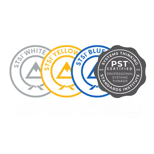Systems Thinking Standards Institute - Blue Belt-PST