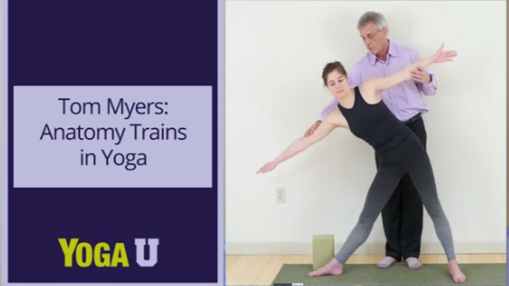 Tom Myers - Anatomy Trains® and Yoga