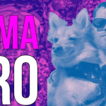 John Caprani – Local Business Micro Agency