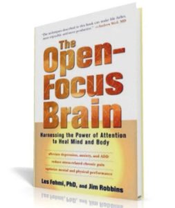 Les Fehmi - Open Focus Program