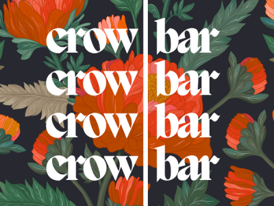 Ash Ambirge – The Crowbar Writing Workshop