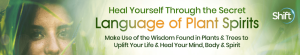 Emma Farrell - Heal Yourself With the Secret Language of Plant Spirits 2022
