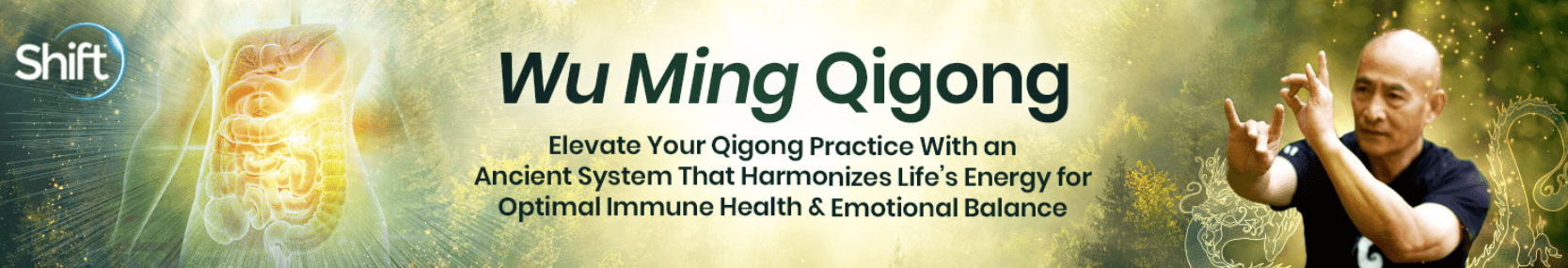 Grand Master Nan Lu – Wu Ming Qigong (1)
