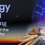 Mas Vidal – The Vedic Astrology & Ayurveda for Integrative Healing