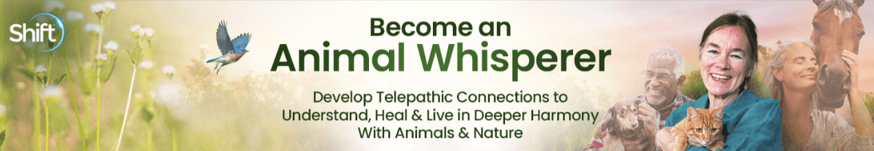 Penelope Smith – Become an Animal Whisperer (1)