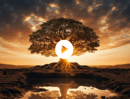 Benjamin Seda – The Gentleman Approach Deluxe Edition 1