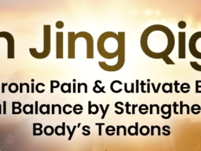 Master Faye Li Yip – Yi Jin Jing Qigong