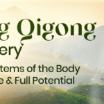 Master Mingtong Gu – Wisdom Healing Qigong for Life Mastery