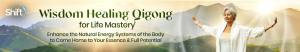 Master Mingtong Gu - Wisdom Healing Qigong for Life Mastery
