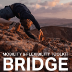 Matthew Smith – Bridge