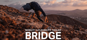 Matthew Smith - Bridge