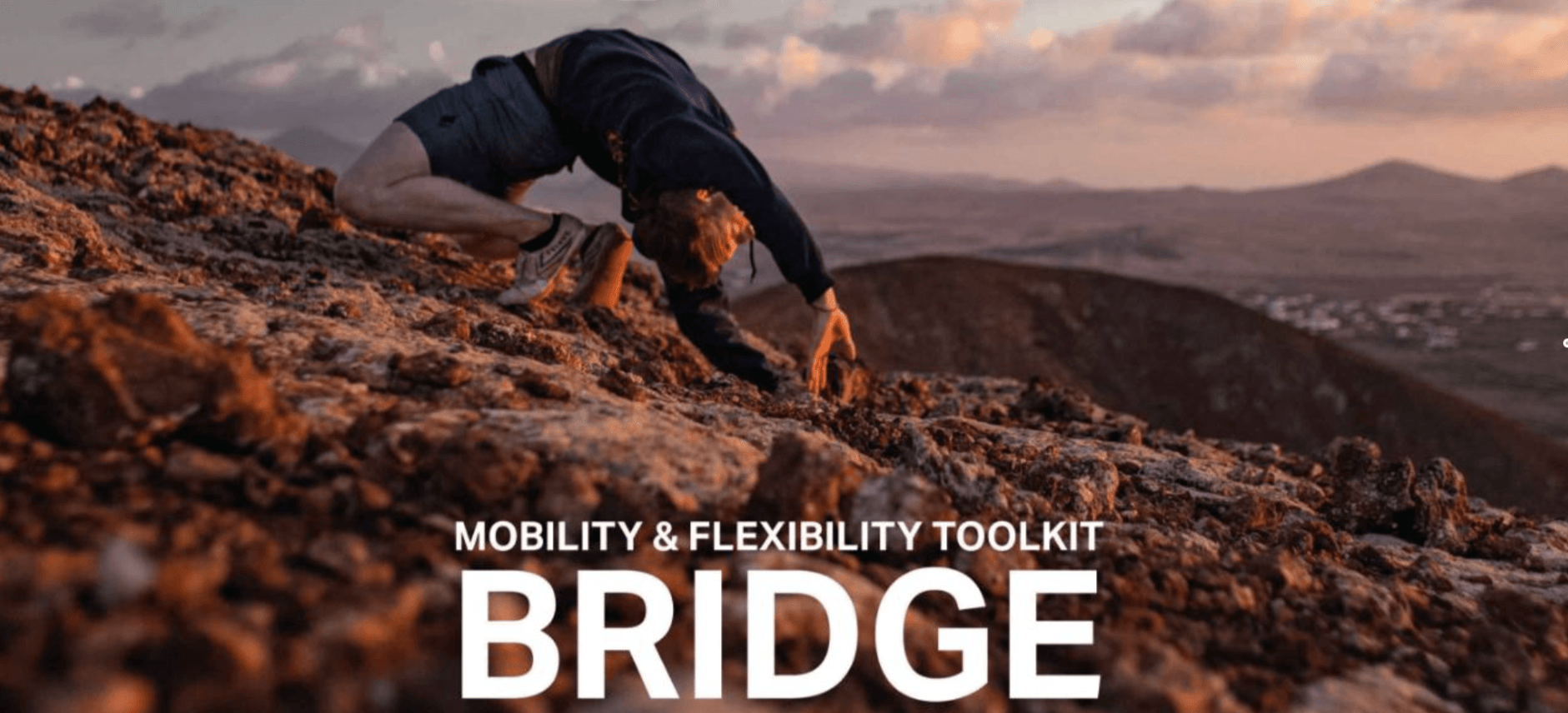 Matthew Smith – Bridge (1)