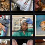 Satish Prajapati – Native Ads