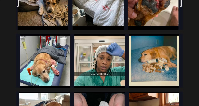 Satish Prajapati – Native Ads