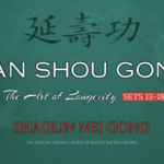 Yan Shou Gong – The Art of Longevity Sets 13-18