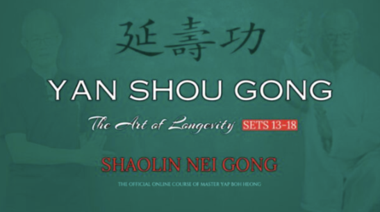 Yan Shou Gong – The Art of Longevity Sets 13-18 Yan Shou Gong – The Art of Longevity Sets 13-18